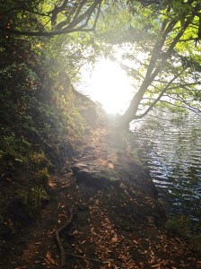 Hiking at Lake Anza in Tilden Park