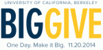 Big Give Logo