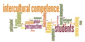 Fu_Intercultural_Competence_TP_WC_600
