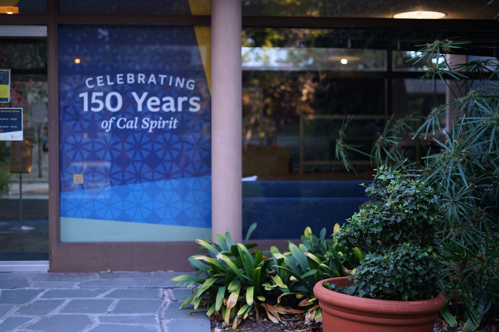 A small plant or shrub shaped in the form of a bear, in front foa. sign reading "CELEBRATING 150 Years of Cal Spirit".