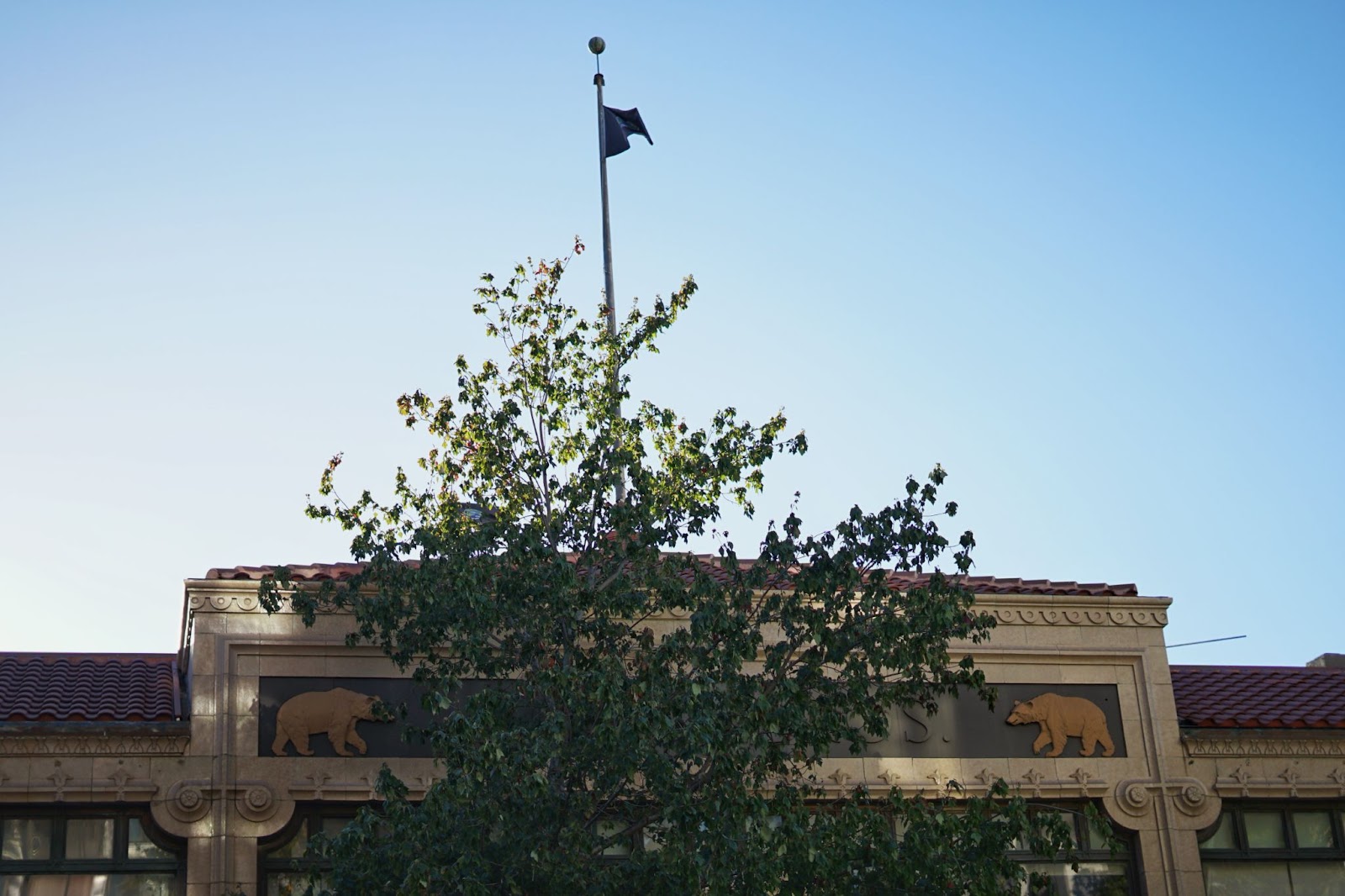 A pair of bear relief sculptures walk on either side of the sign to a shop.