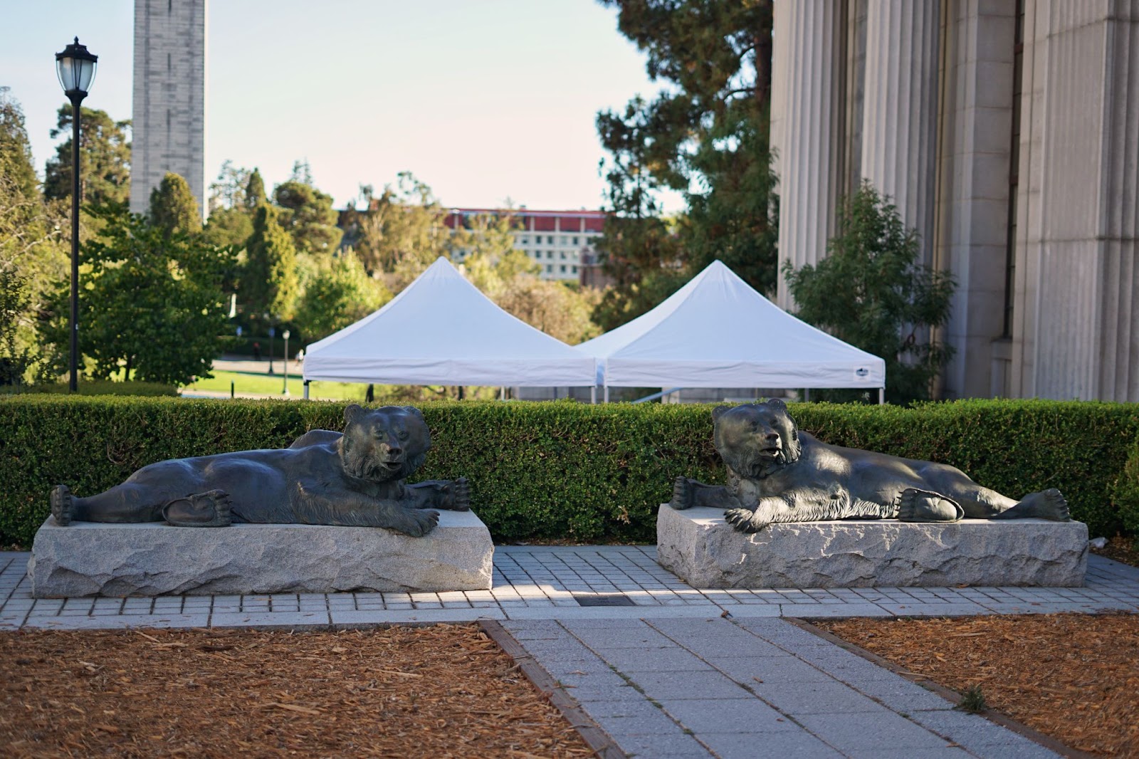 Two bear statues, mirroring each other, depicting bears lying down. 