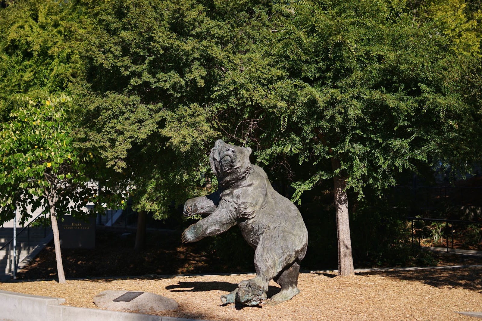 A statue of a bear looking up, surrounded by trees.