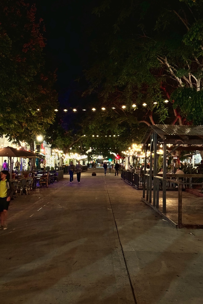 A street, scattered with shops lit with hanging bulbs strew across through the trees.