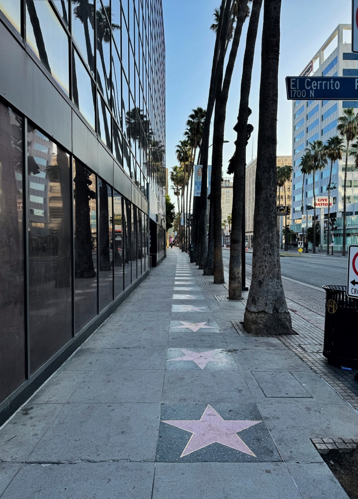 A photo of a street emblazoned with stars on the tiled floor.