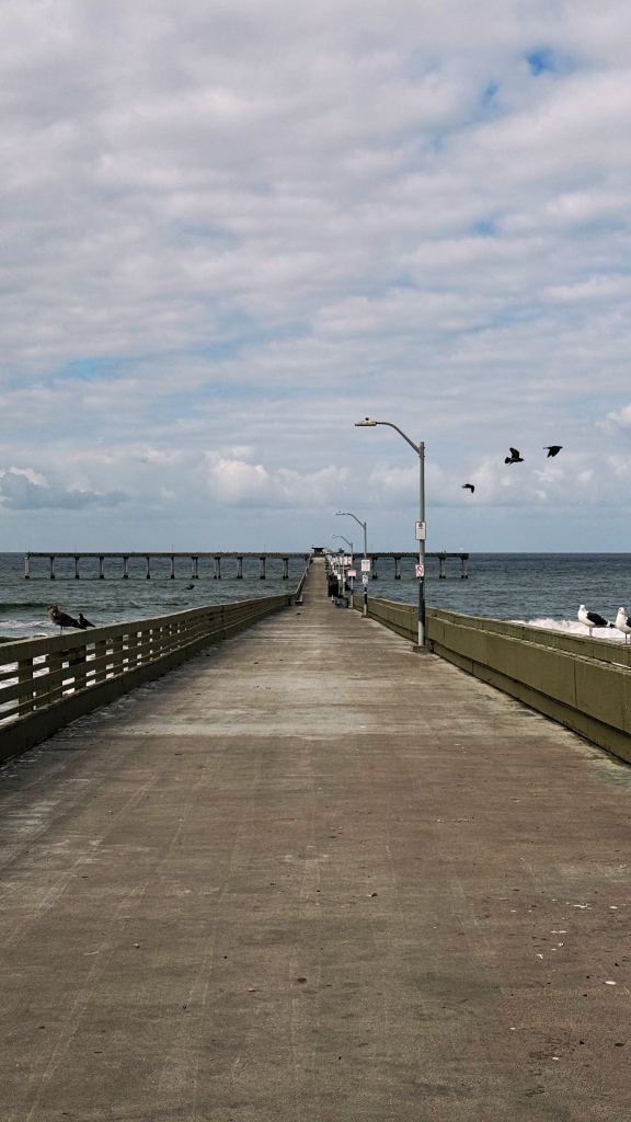 A linear photo from the entrance of a pier, birds flying across the frame.
