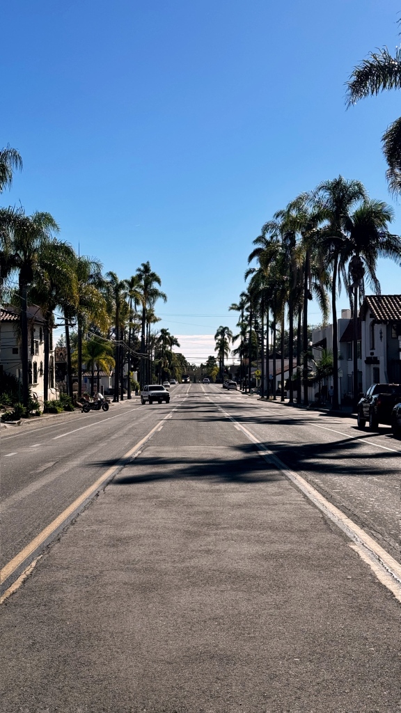A straight view of a road with palm trees on either side.