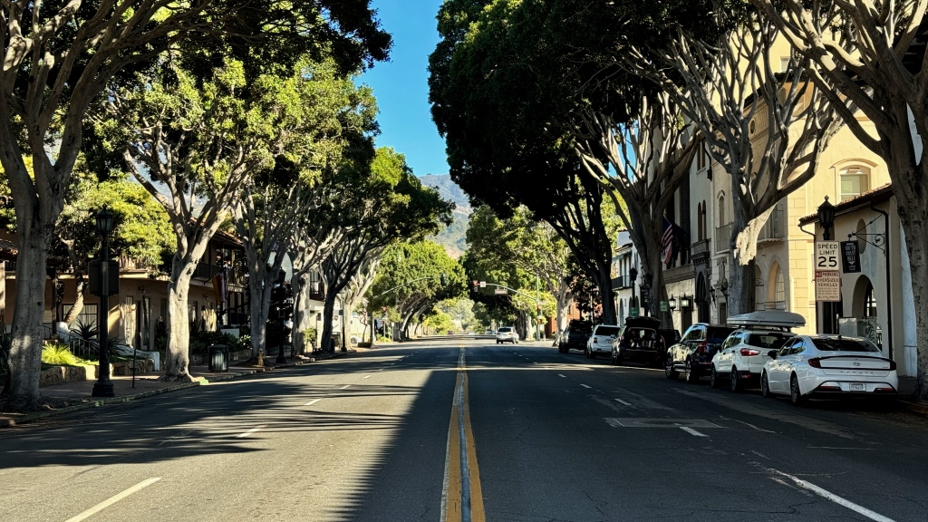 A linear photo of a load with trees shrouding the sides.